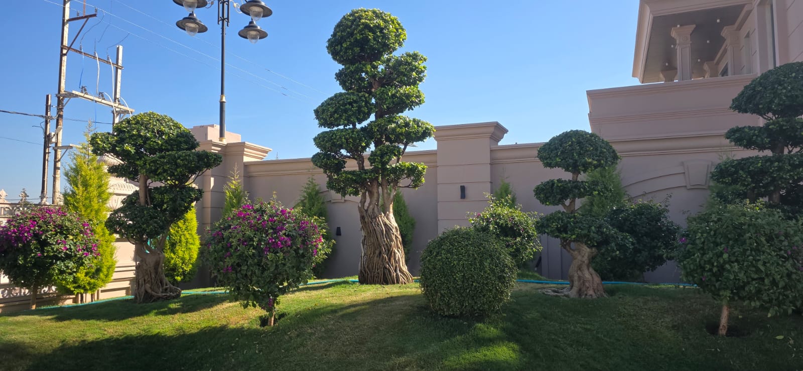 Award-Winning Landscape Architects